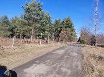 Działka rolno-budowlana Rościce. Zdjęcie 2