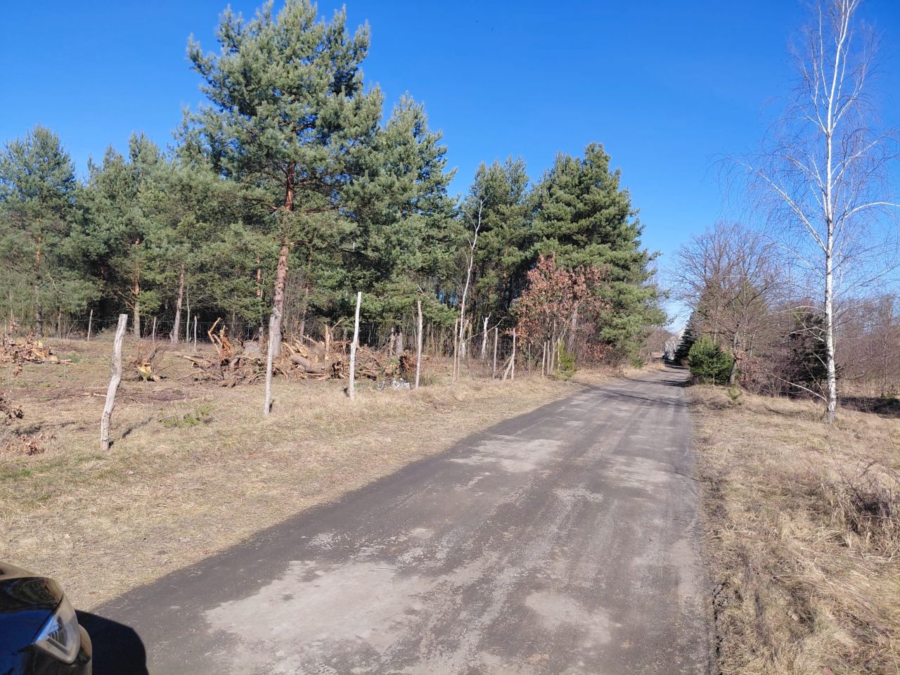 Działka rolno-budowlana Rościce. Zdjęcie 3