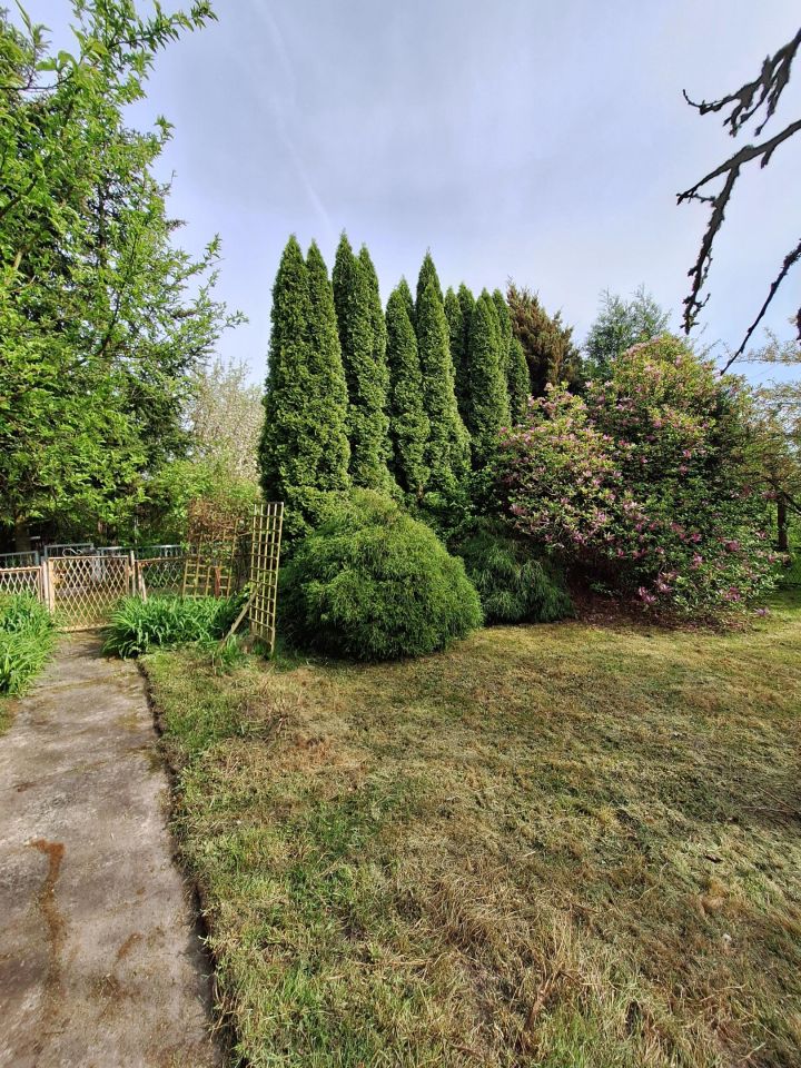 Działka rod Ostrów Wielkopolski Piaski, ul. Spichrzowa. Zdjęcie 3