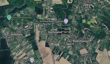 dom wolnostojący Karniowice