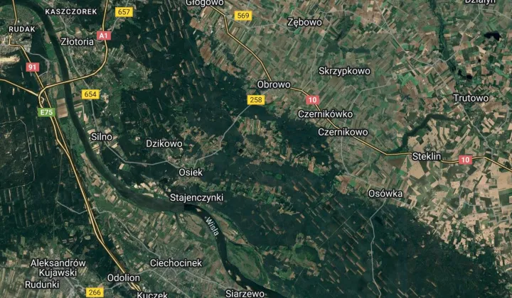 Działka rolno-budowlana Sąsieczno