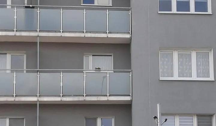 Mieszkanie 2-pokojowe Poznań Dolna Wilda, ul. Dolna Wilda