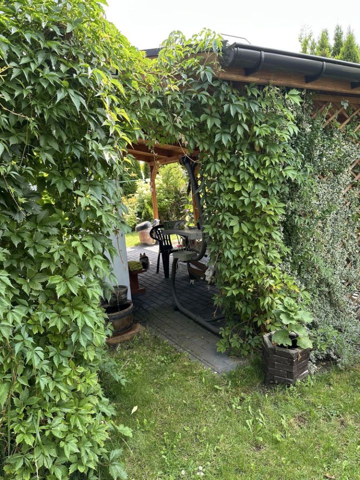 Działka rod Bełchatów, ul. Cegielniana. Zdjęcie 4