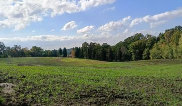 Działka budowlana Jastrzębie-Zdrój Ruptawa, ul. P. Skargi