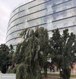 Mieszkanie 3-pokojowe Warszawa Wola, ul. Banderii. Zdjęcie 4