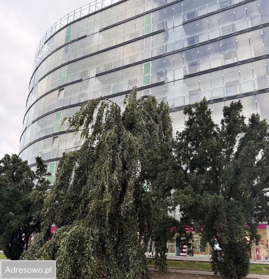 Mieszkanie 3-pokojowe Warszawa Wola, ul. Banderii. Zdjęcie 5