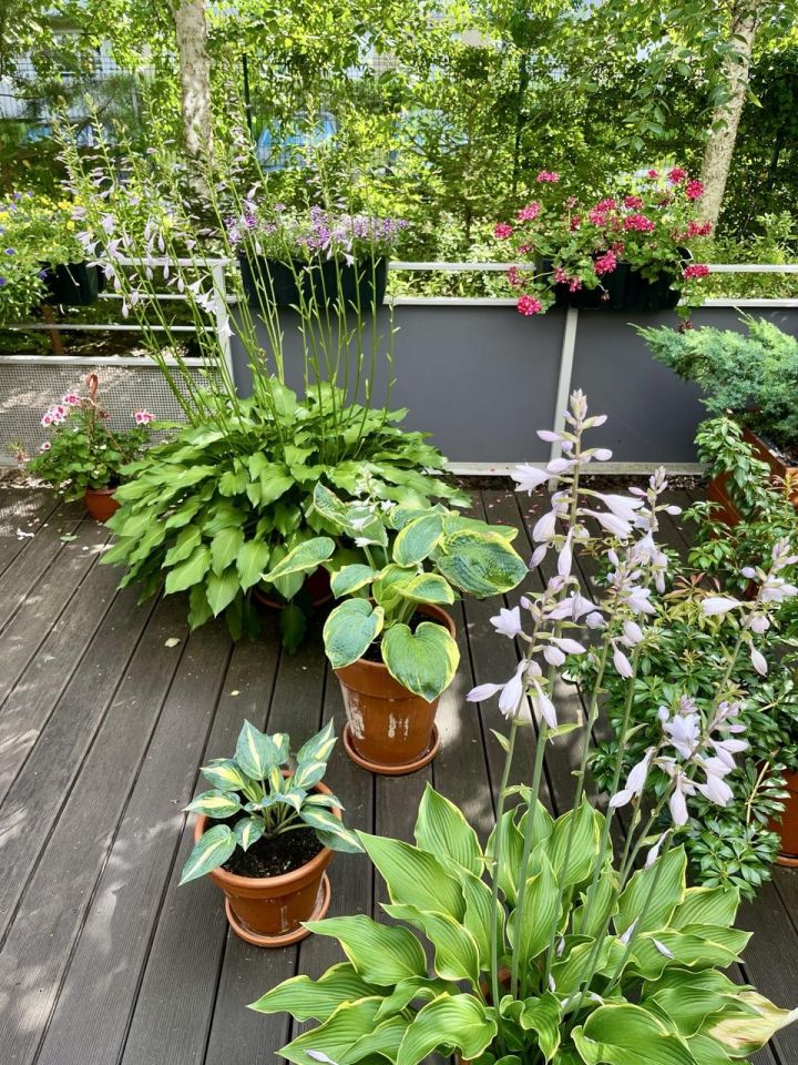 Mieszkanie 2-pokojowe Wrocław Tarnogaj, ul. ks. Czesława Klimasa. Zdjęcie 16