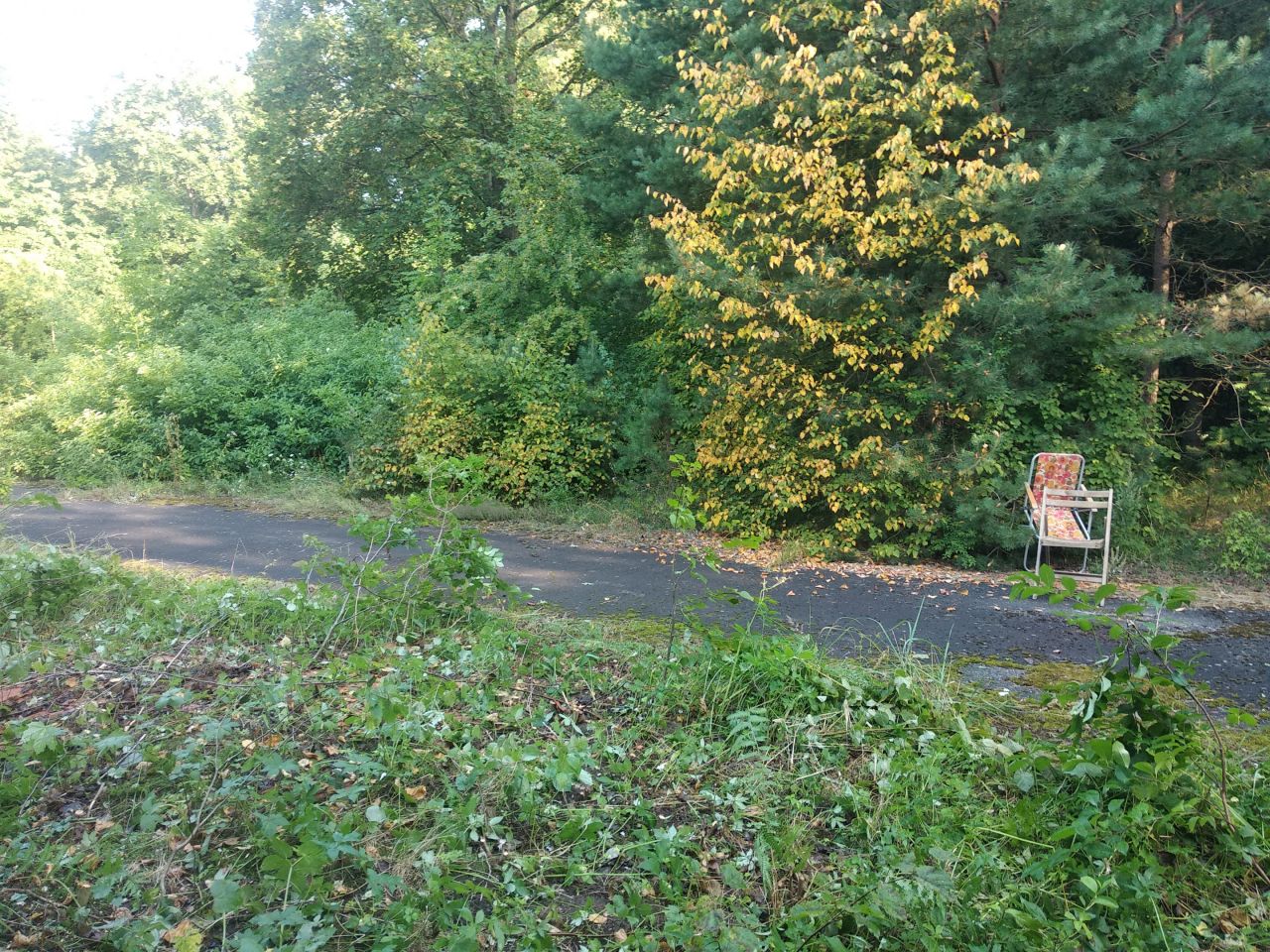 dom wolnostojący Bemowo Piskie, ul. Lipowa. Zdjęcie 7