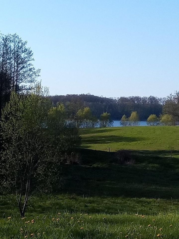 Działka rolna Donatowo. Zdjęcie 5