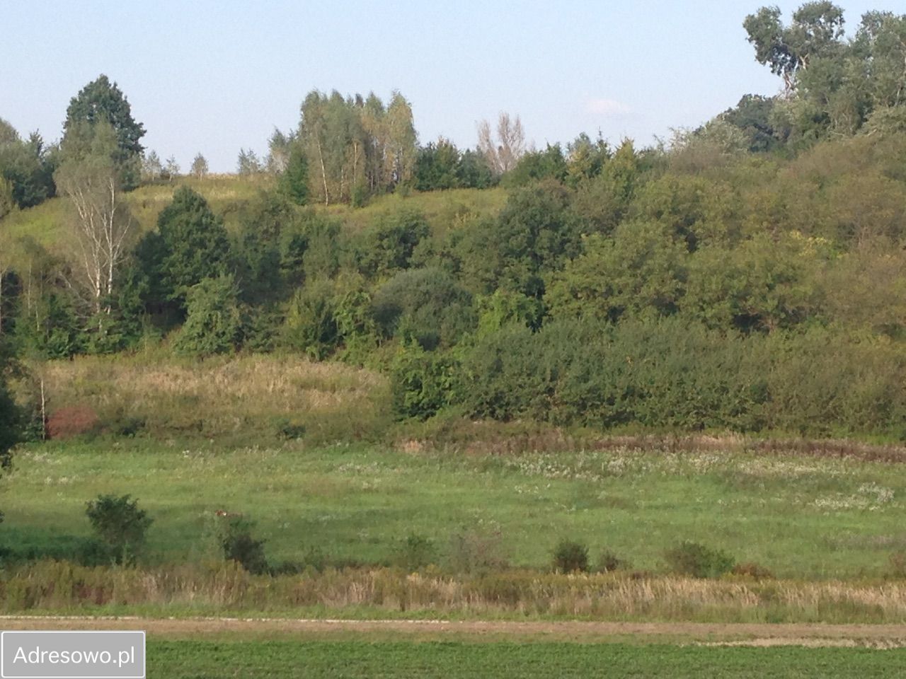 Działka budowlana Kazimierz Dolny. Zdjęcie 3