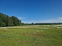 Działka budowlana Kozia Góra, ul. Żniwna. Zdjęcie 1