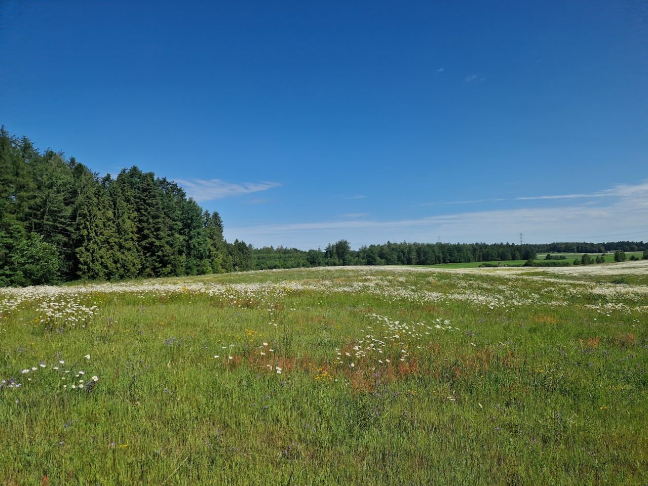 Działka budowlana Kozia Góra, ul. Żniwna. Zdjęcie 2