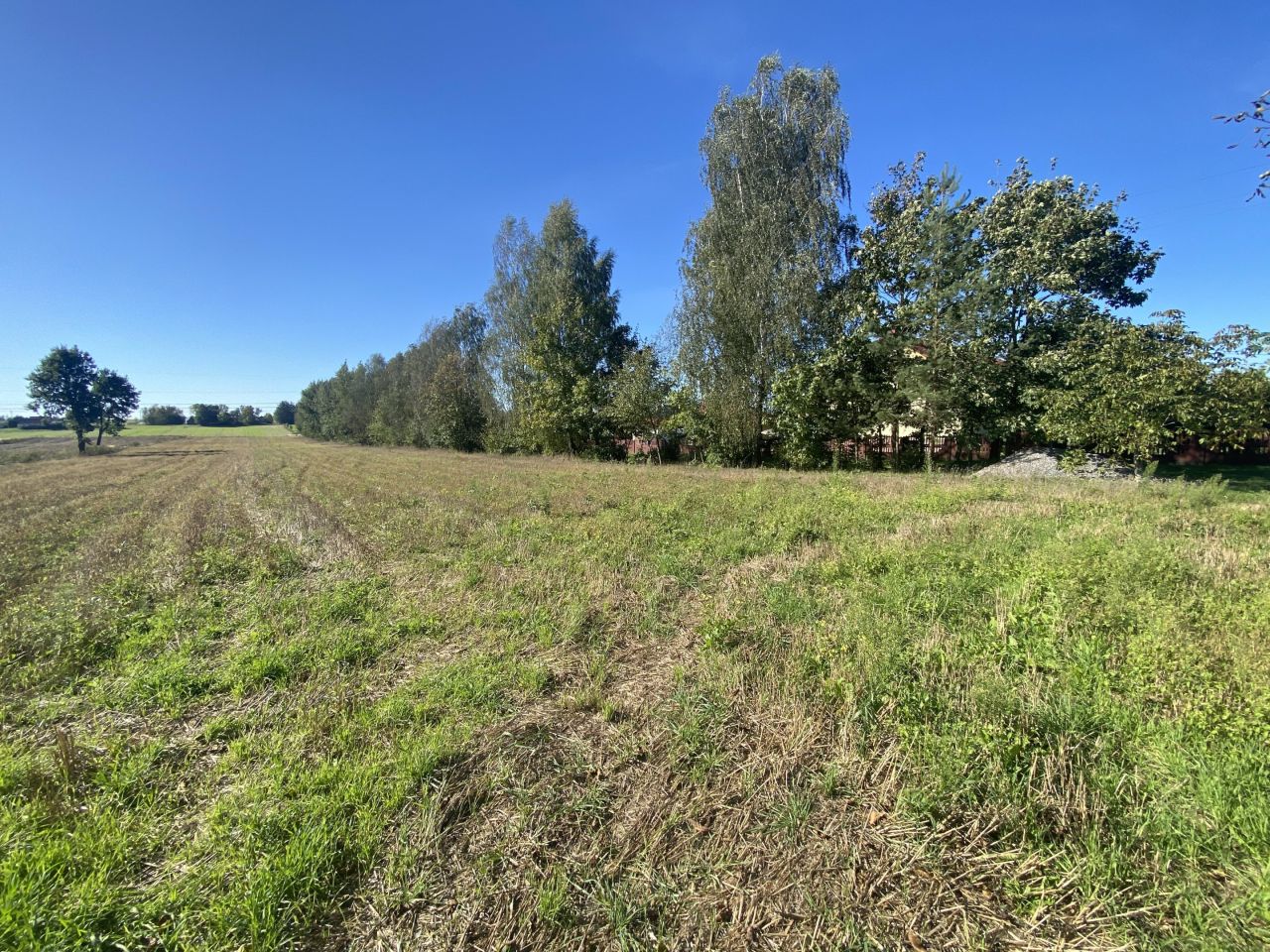 Działka rolna Stawki Zofiówka. Zdjęcie 7