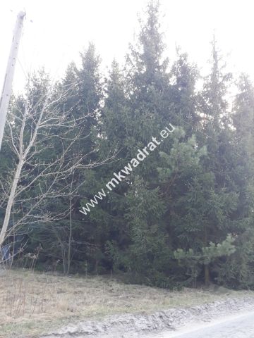 Działka budowlana Kuklówka Zarzeczna. Zdjęcie 2