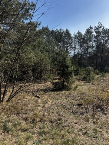 Działka rekreacyjna Dzbądzek. Zdjęcie 6