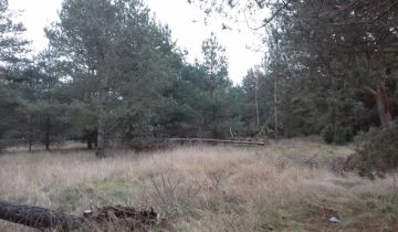 Działka rolna Raciąż Borki