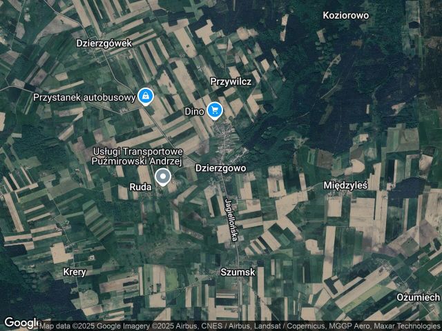 Działka rolna Dzierzgowo. Zdjęcie 1