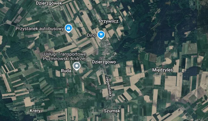 Działka rolna Dzierzgowo