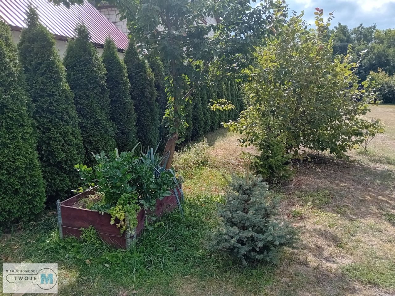 dom wolnostojący, 3 pokoje Jedlińsk. Zdjęcie 7