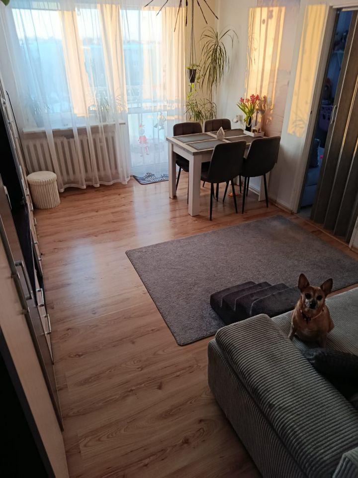 Mieszkanie 2-pokojowe Mrągowo, os. Parkowe. Zdjęcie 10