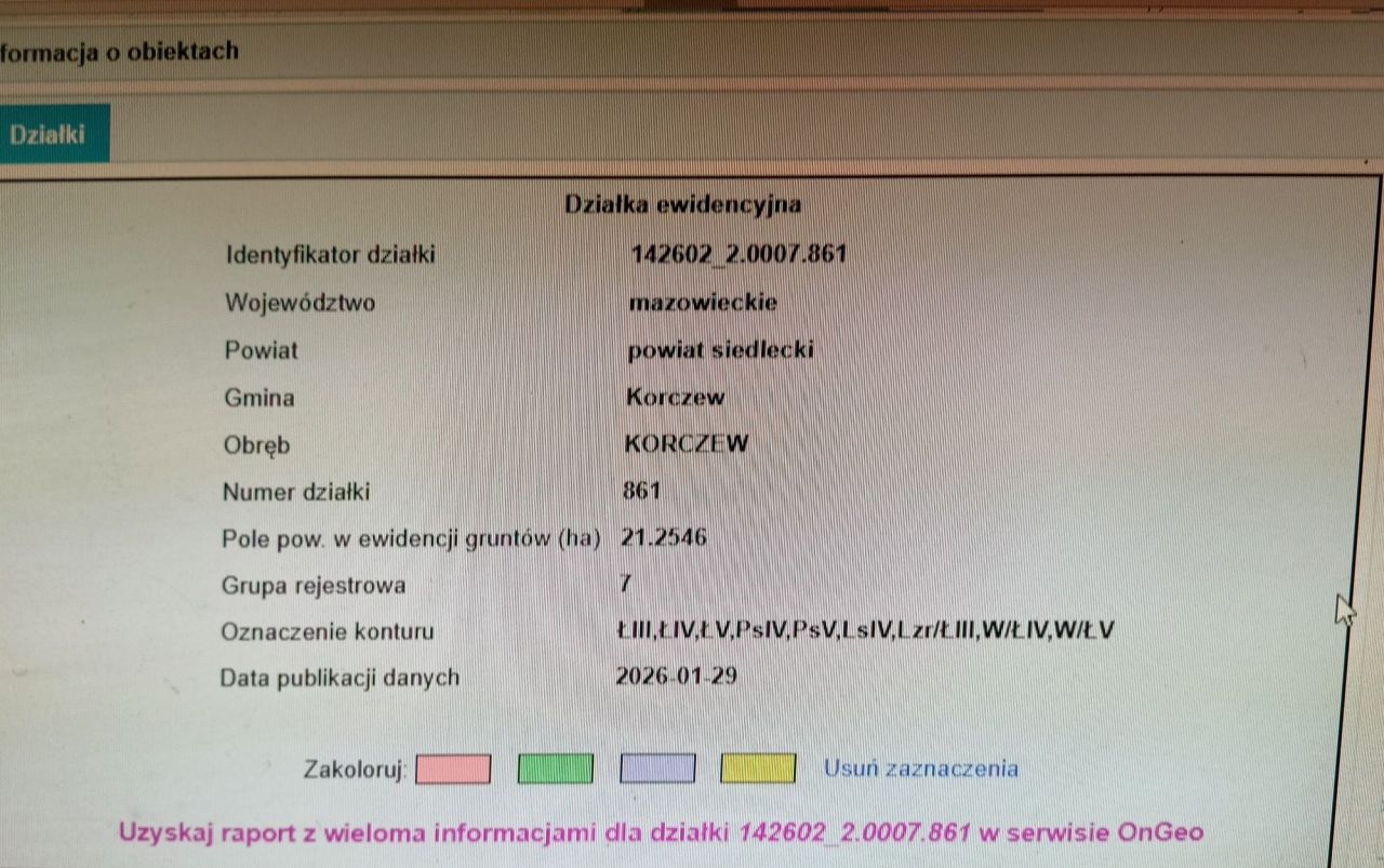 Działka rolna Korczew. Zdjęcie 2