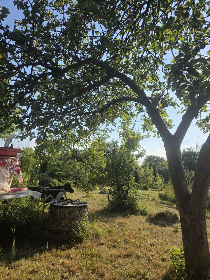 Działka rod Gdańsk Zaspa. Zdjęcie 1