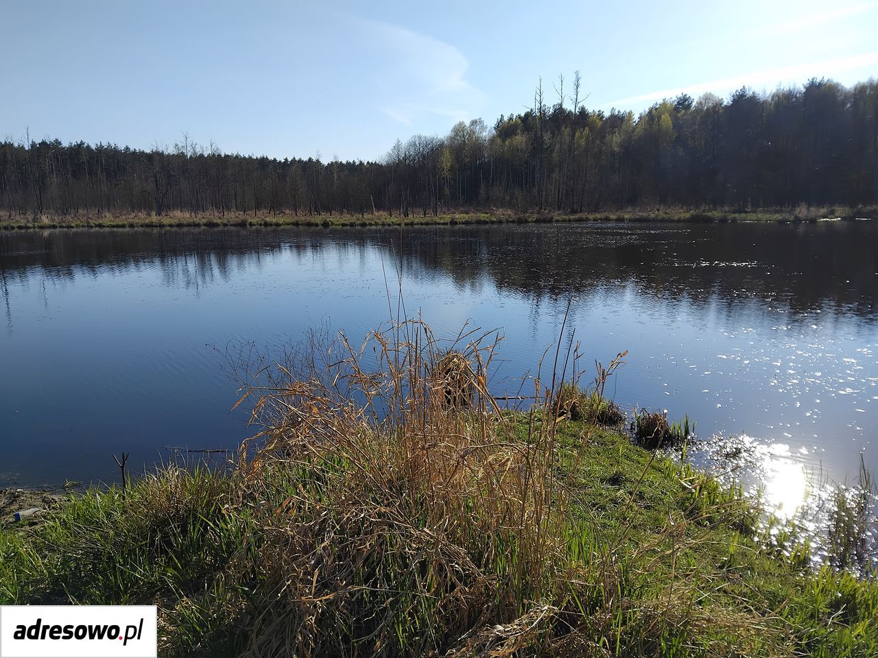 Działka budowlana Barcząca. Zdjęcie 1