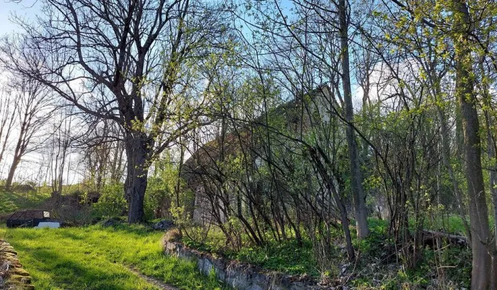 Działka siedliskowa Komarno