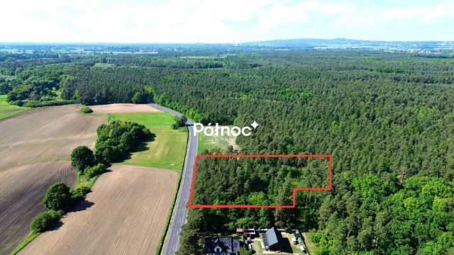 Działka budowlana Kędzierzyn-Koźle Kłodnica. Zdjęcie 11