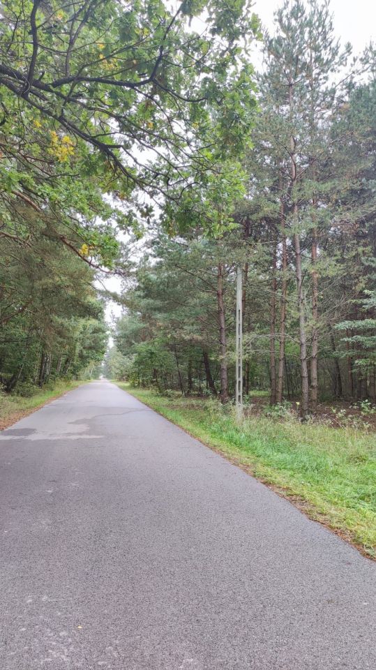 Działka budowlana Żdżarki. Zdjęcie 6