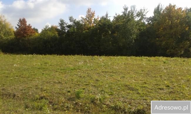 Działka Zagórzany. Zdjęcie 6