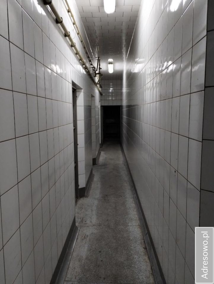 Lokal Dąbrowa-Dzięciel. Zdjęcie 6