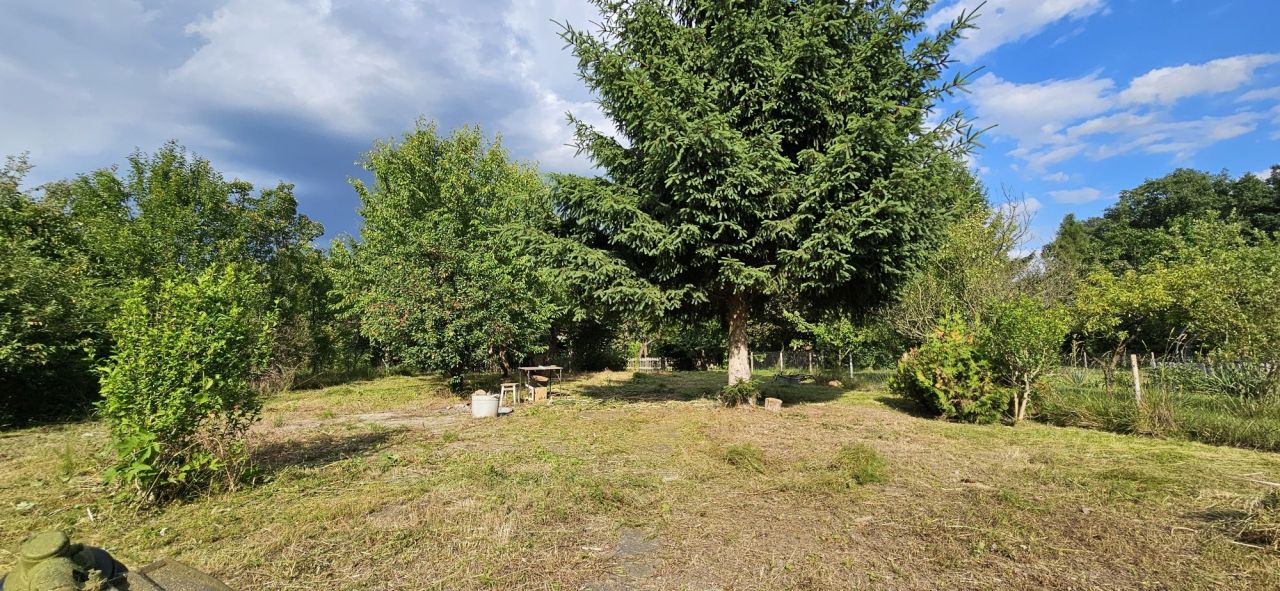 Działka rod Wrocław Psie Pole, ul. Sołtysowicka. Zdjęcie 5