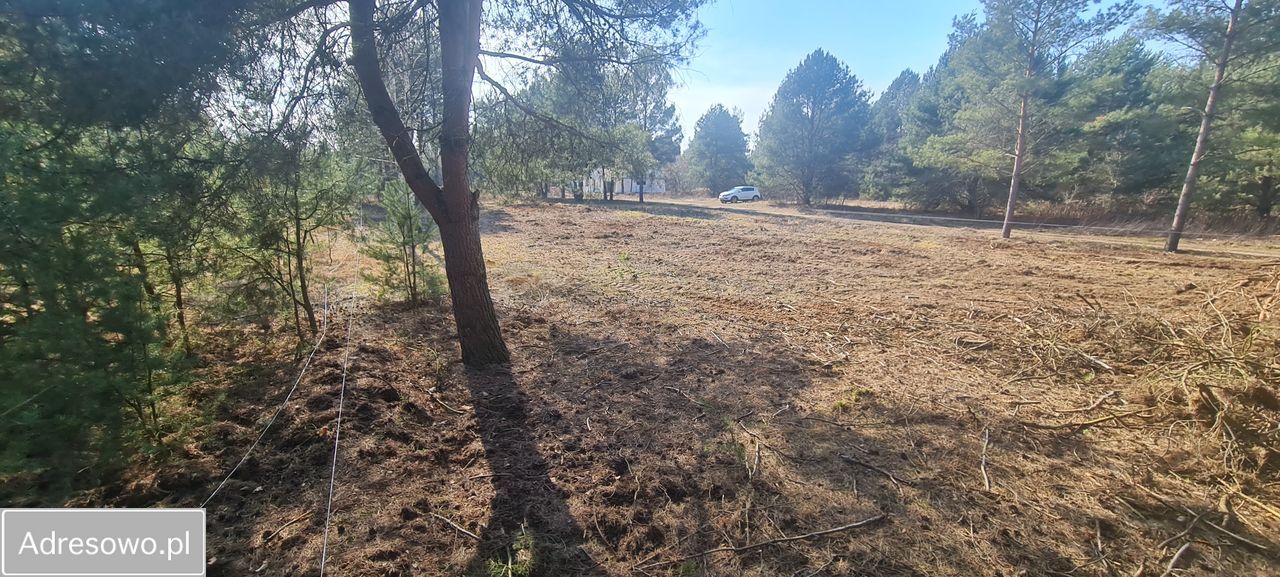 Działka budowlana Izabelin-Dziekanówek, ul. Unijna. Zdjęcie 2