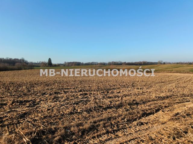 Działka rolna Grabnik. Zdjęcie 5