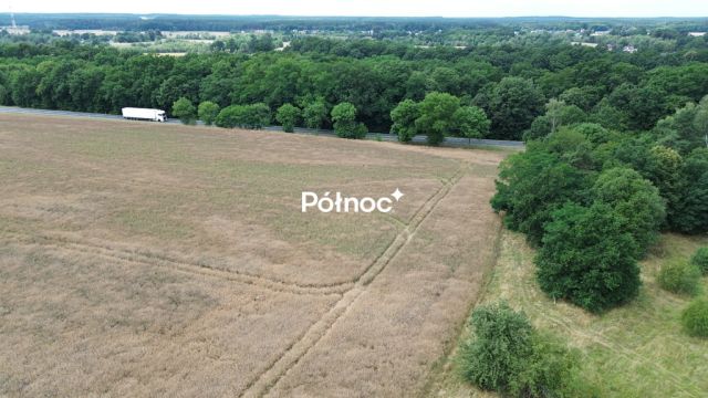 Działka inwestycyjna Dąbrowa Bolesławiecka. Zdjęcie 1