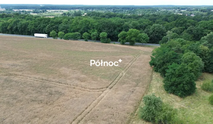 Działka inwestycyjna Dąbrowa Bolesławiecka