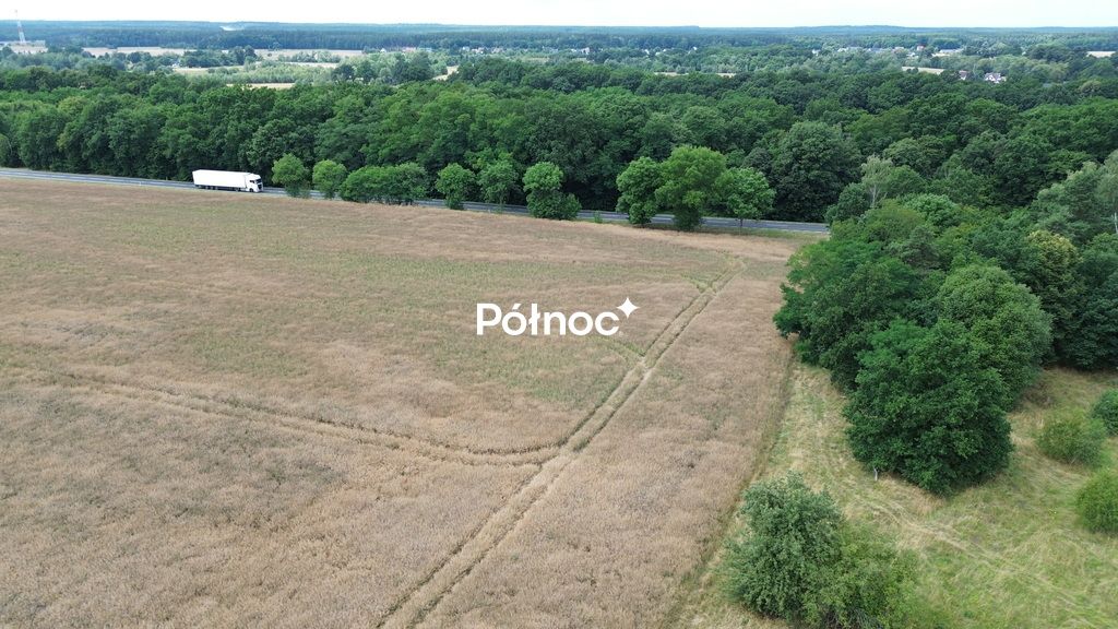 Działka inwestycyjna Dąbrowa Bolesławiecka. Zdjęcie 1