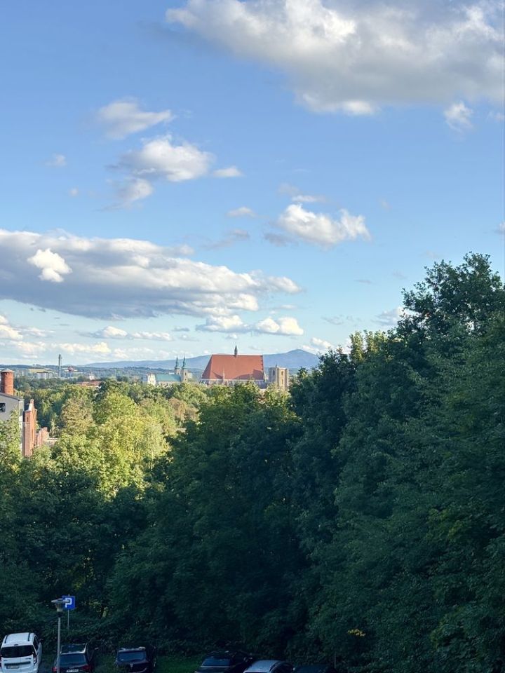 Mieszkanie 1-pokojowe Nysa, ul. Wincentego Karugi. Zdjęcie 8