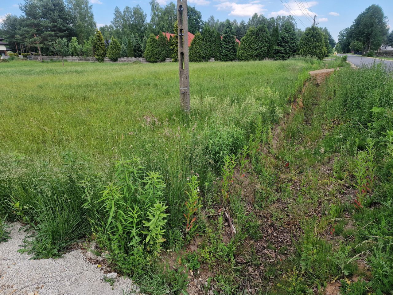 Działka budowlana Rudnik Wielki, ul. Gajowa. Zdjęcie 5