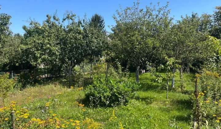 Działka rod Wrocław Krzyki