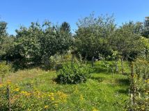 Działka rod Wrocław Krzyki