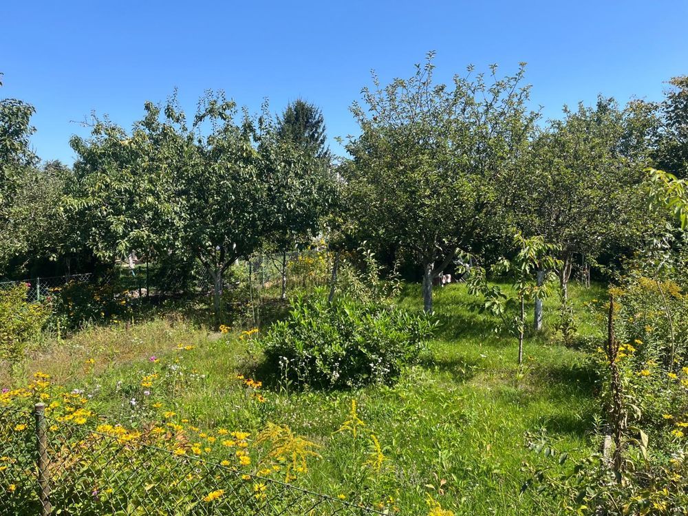 Działka rod Wrocław Krzyki