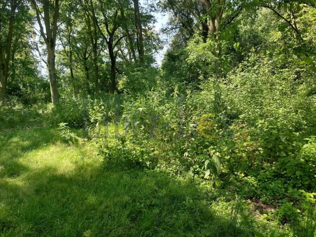 Działka budowlana Popielarze, Popielarze. Zdjęcie 6