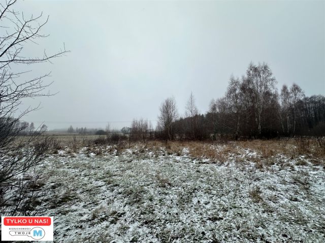 Działka rolna Śladków Duży. Zdjęcie 1