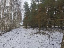 Działka leśna Nowy Jasieniec Iłżecki