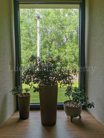 siedlisko, 5 pokoi Kotliska. Zdjęcie 9