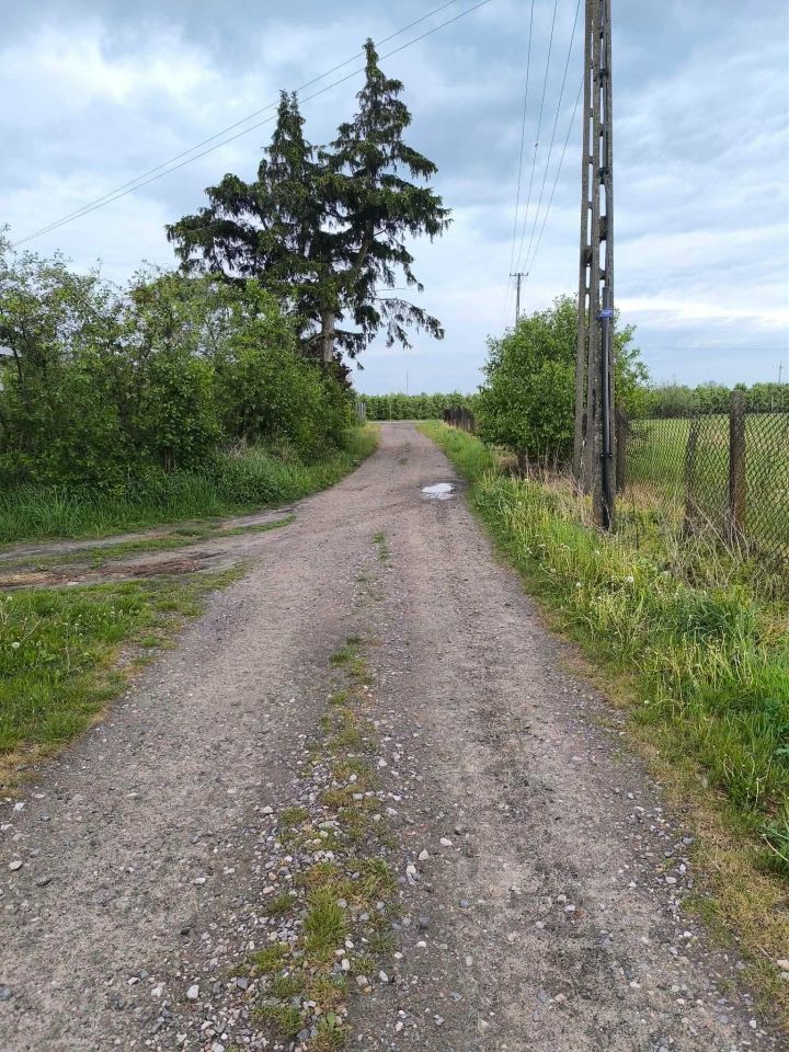 Działka budowlana Konary. Zdjęcie 8
