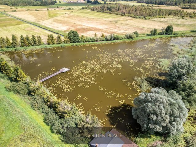 Działka rolna Kniewo. Zdjęcie 4