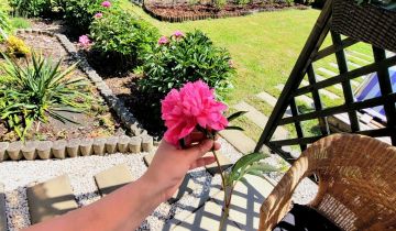 Działka rod Rumia, ul. Kosynierów